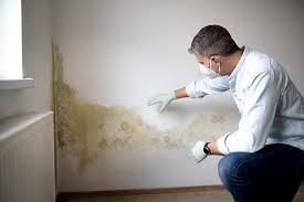 Best Forensic Mold Investigation in Morehead, KY